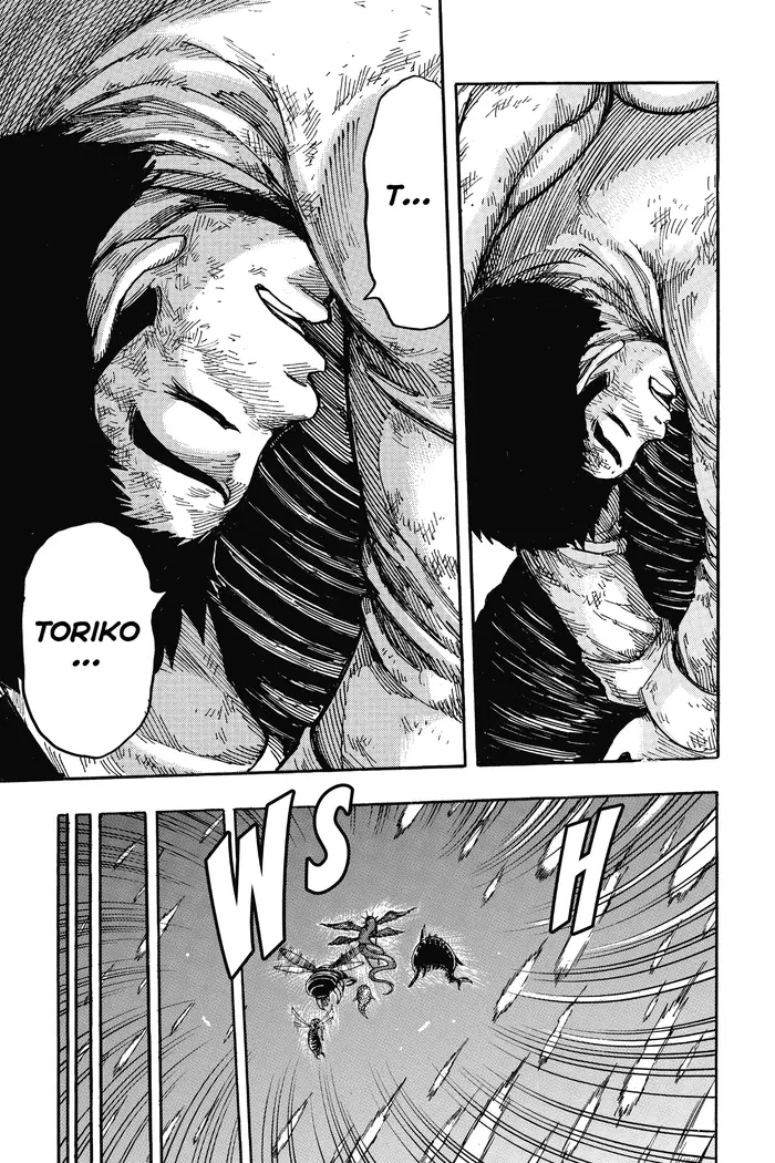 Toriko Chapter 255 image 16_optimized